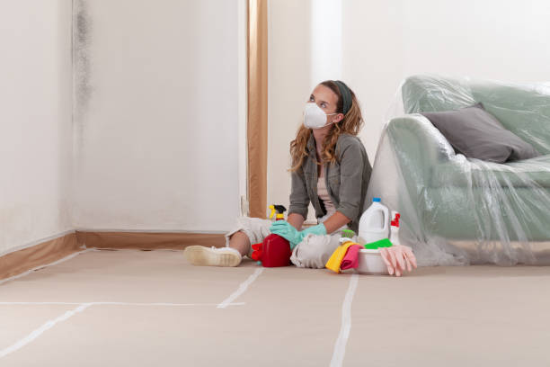 Reliable Mold Remediation contractor in Occoquan, VA by Cheap Mold Removal